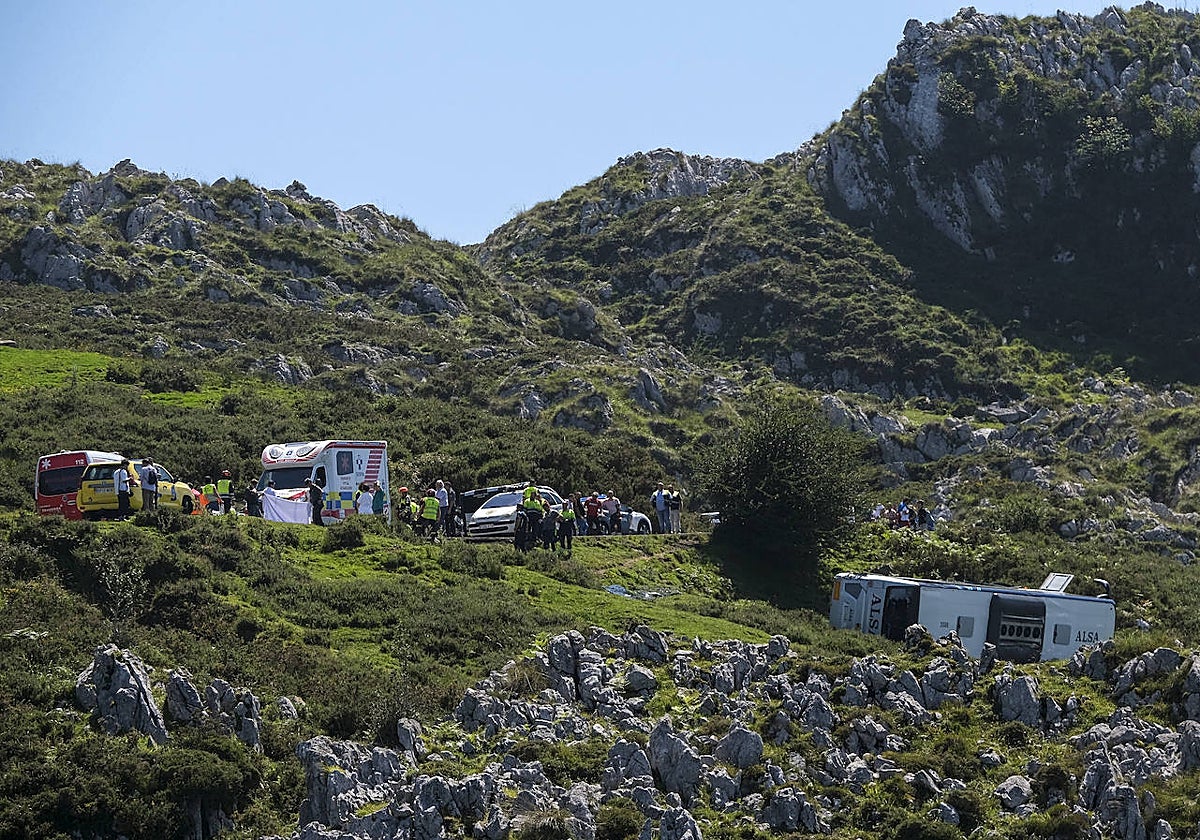 Los servicios sanitarios prestan asistencia tras despeñarse un autobús con 48 pasajeros los Lagos de Covadonga