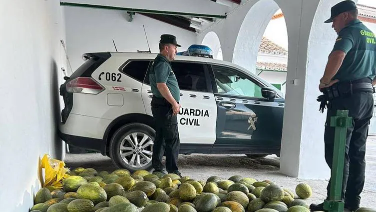 La Guardia Civil recupera más de 700 kilos de melones y sandías robados en Montalbán