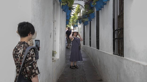 Visitantes en la Calleja de las Flores