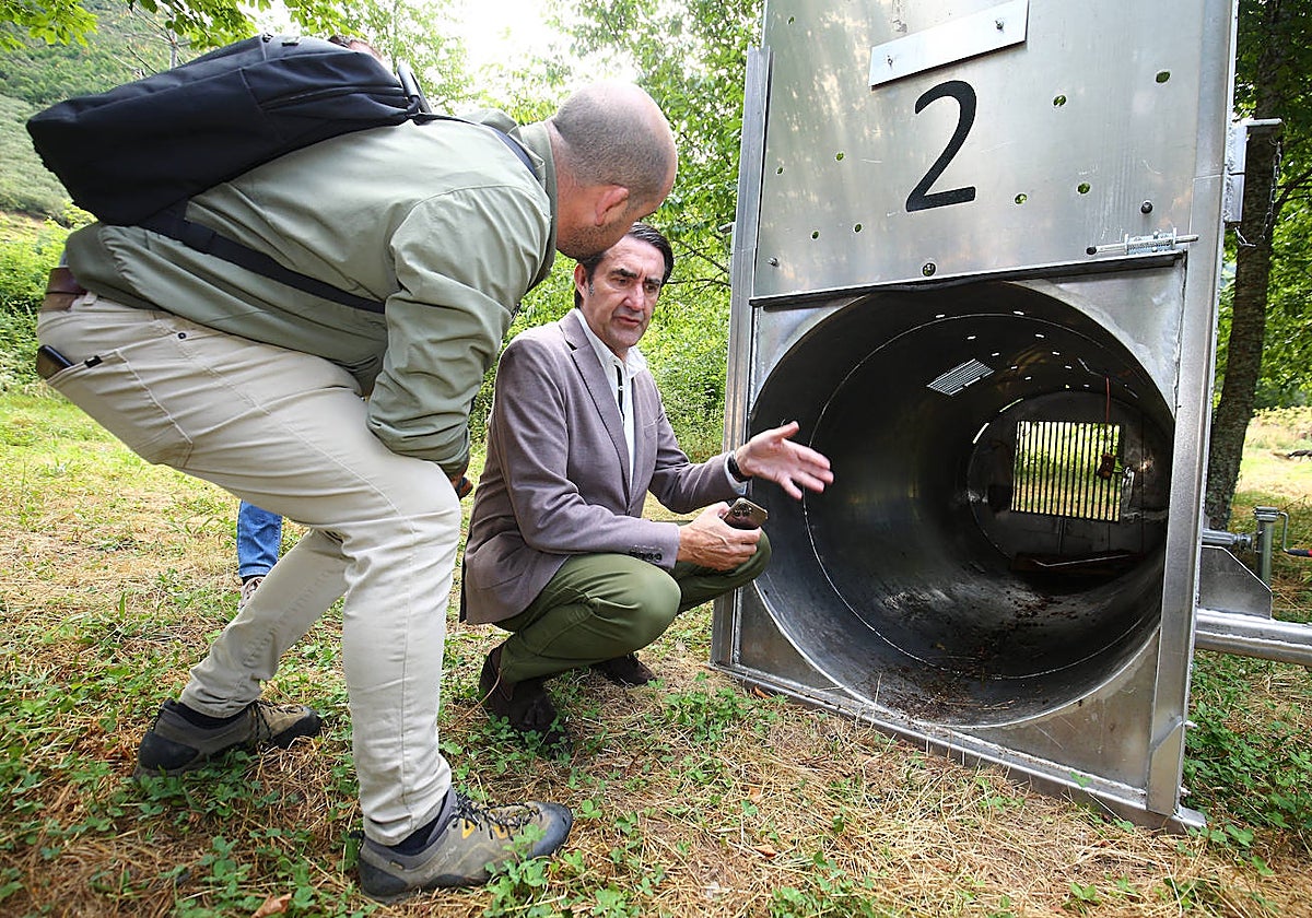 El consejero de Medio Ambiente, Vivienda y Ordenación del Territorio, Juan Carlos Suárez-Quiñones, durante su visita a uno de los sistemas de captura de osos para radio marcaje en Tejedo del Sil (León)