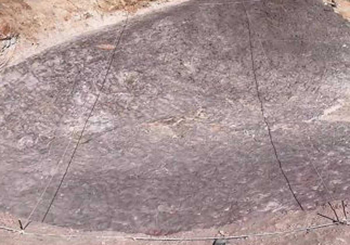 Nuevo hallazgo prehistórico: huellas fósiles de vertebrados del Cretácico en Tamajón