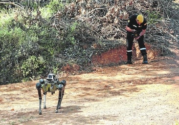 La UME busca 'aliados'