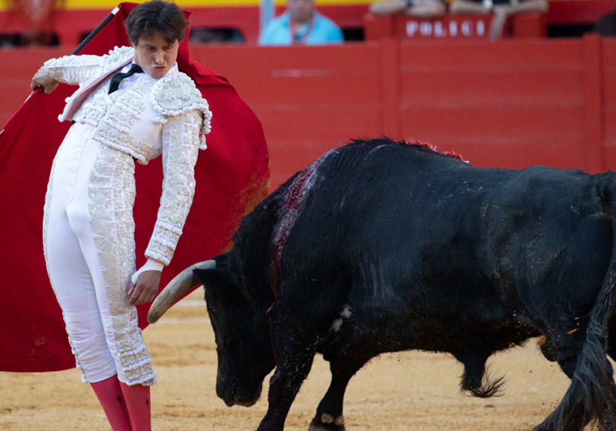 Andrés Roca Rey, el diestro peruano