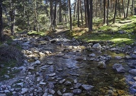 Cien escapadas al aire libre en las sedes madrileñas de la naturaleza