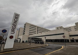 Un pirotécnico sufre la amputación de un dedo tras una explosión cuando montaba una mascletà en Valencia