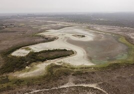 Doñana se seca: la laguna de Santa Olalla se queda sin agua por segundo año consecutivo
