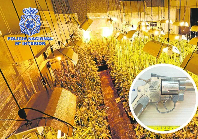 Plantación de marihuana de los mayas en Villalbilla y un revólver del grupo