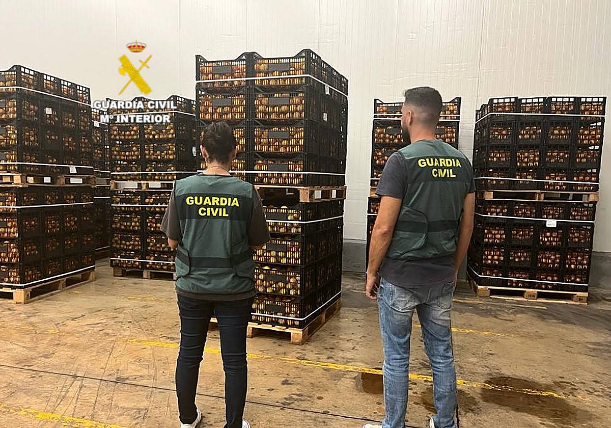 Imagen del equipo ROCA de la Guardia Civil de Benicarló frente a las naranjas sustraídas