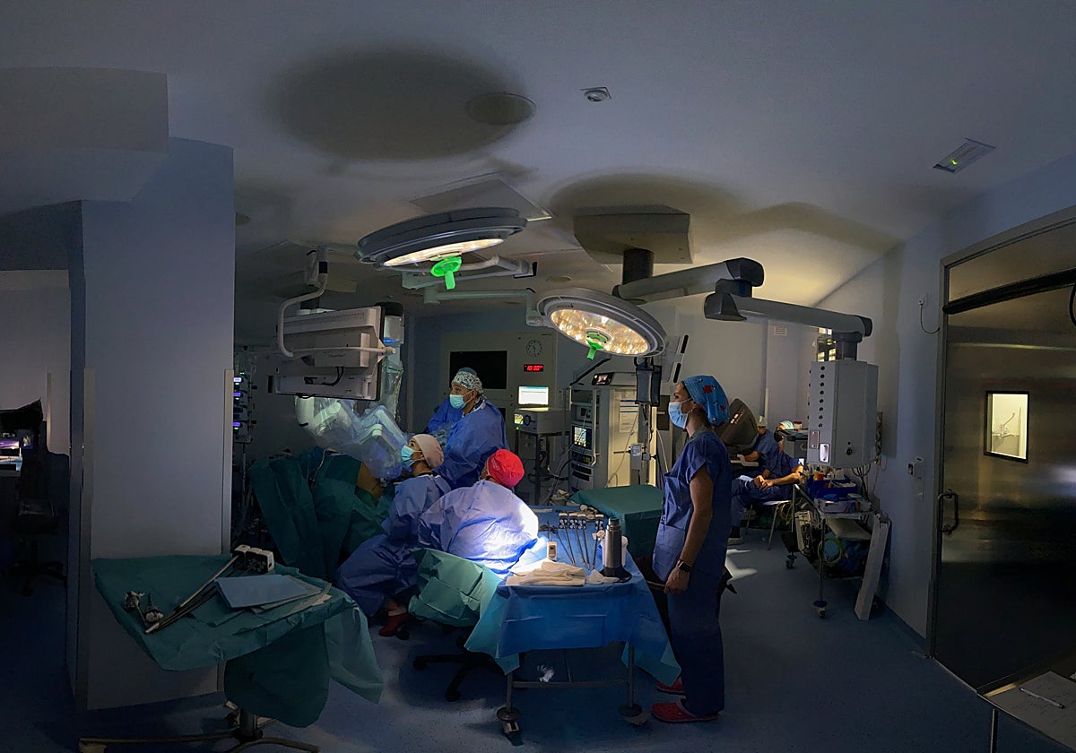 Profesionales trabajan en el robot