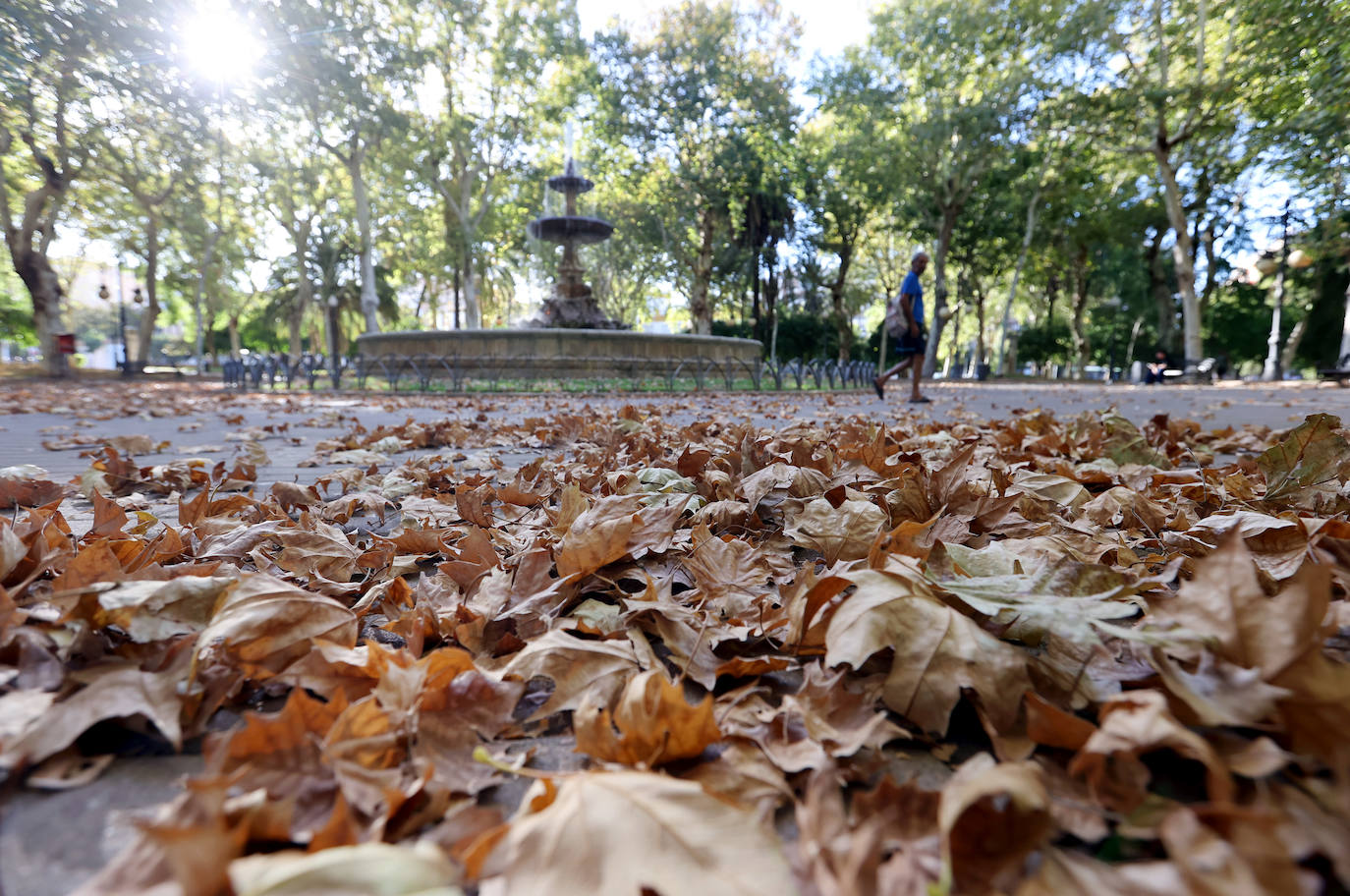 Colón, imagen otoñal en pleno agosto