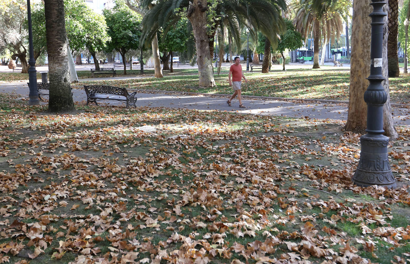 Colón, imagen otoñal en pleno agosto