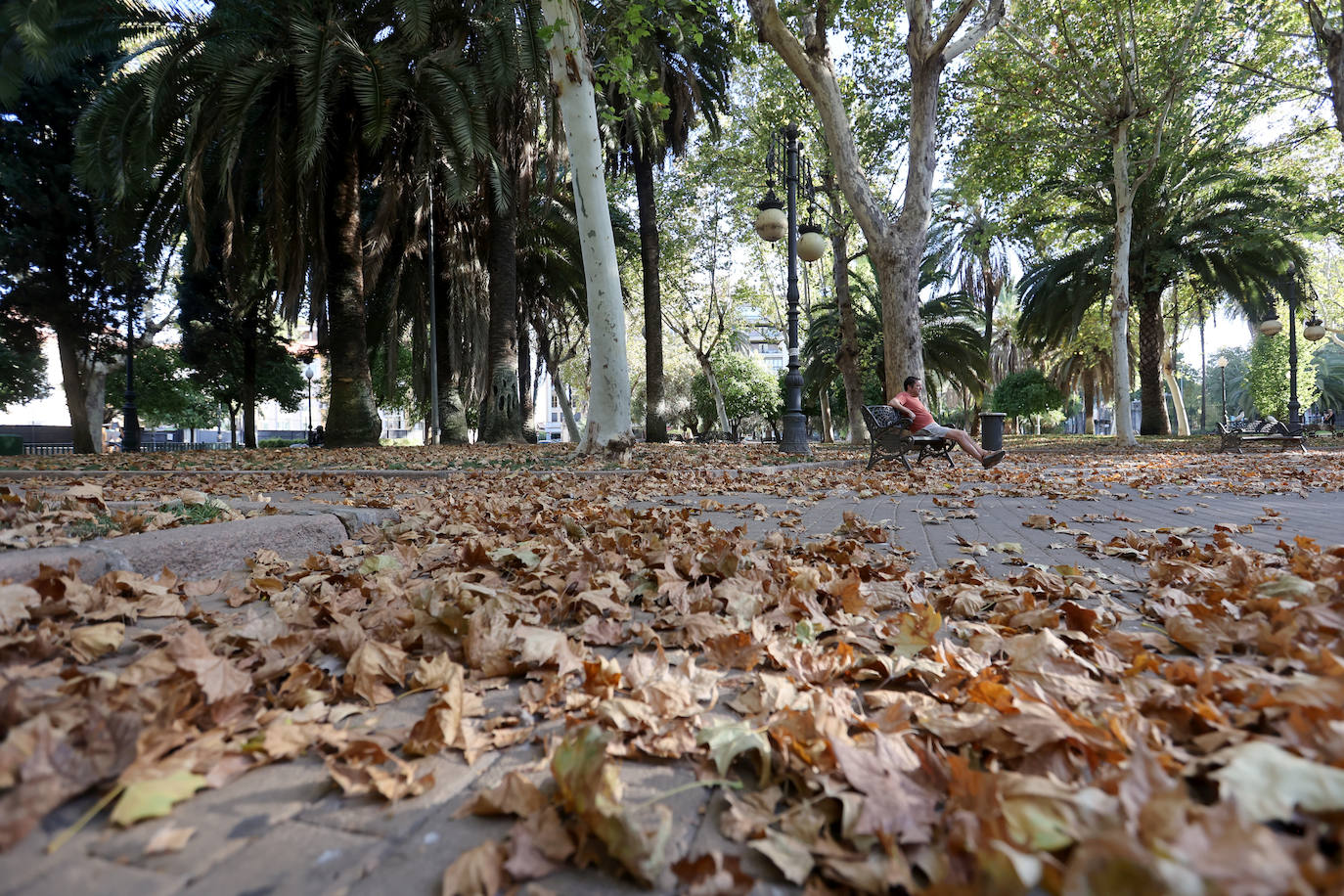 Colón, imagen otoñal en pleno agosto