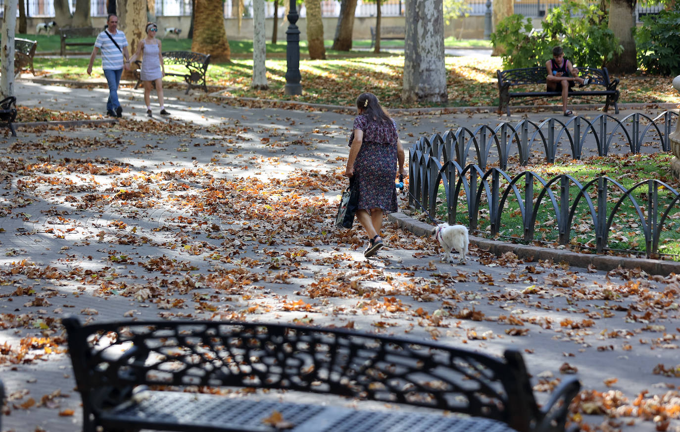 Colón, imagen otoñal en pleno agosto