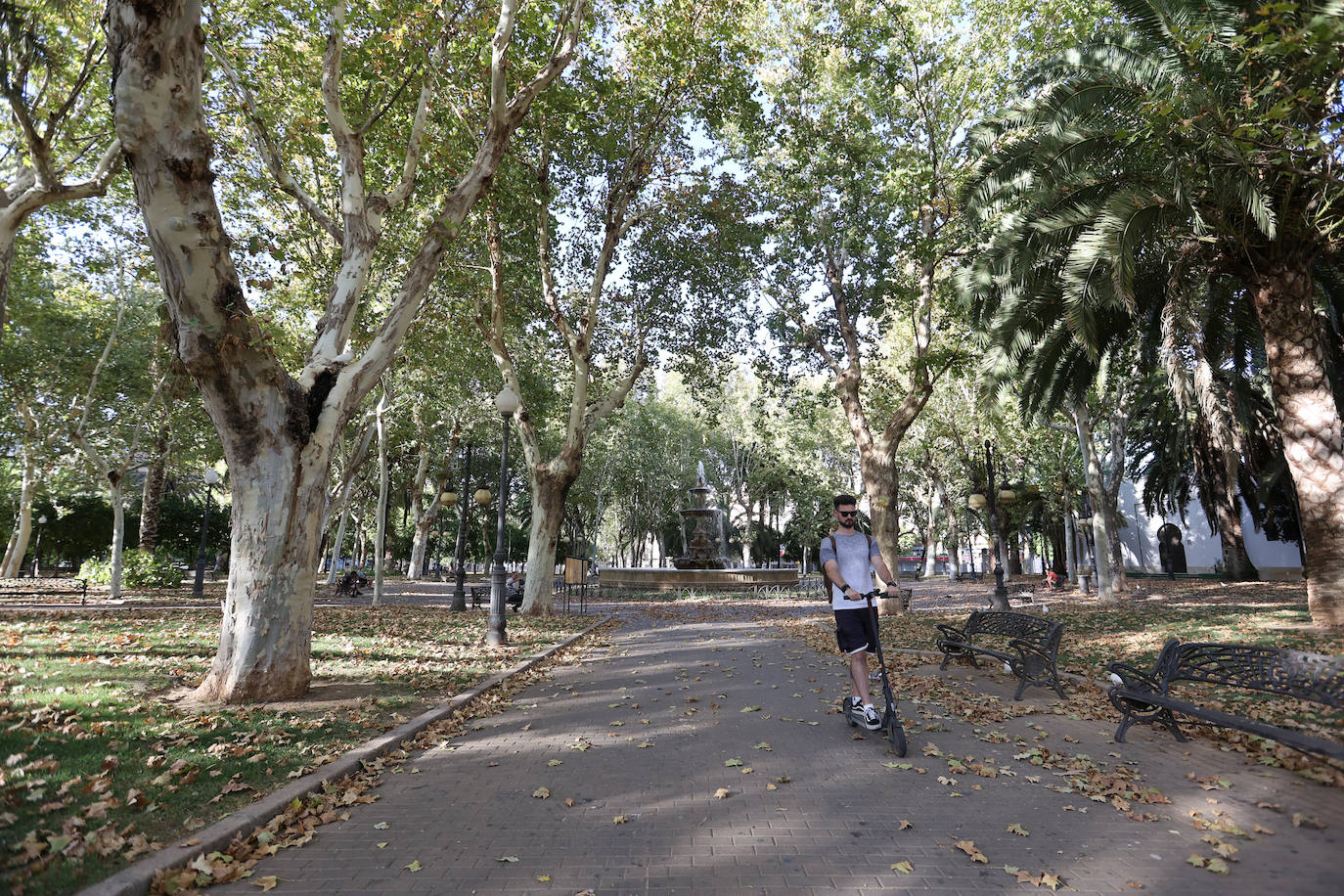 Colón, imagen otoñal en pleno agosto