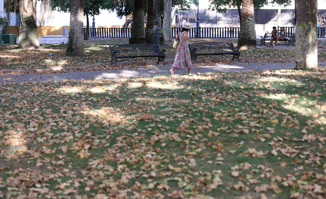 Colón, imagen otoñal en pleno agosto