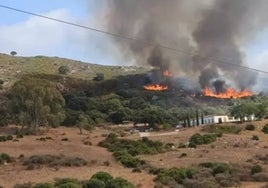 Estabilizado el incendio forestal en San Roque