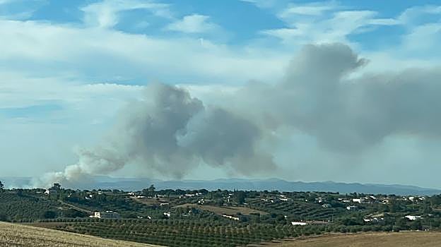 Imagen de la espectacular columna de humo del incendio de Almodóvar