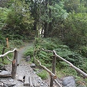 Ruta de las Acequias: un paseo saludable entre castaños y helechos en la mágica Alpujarra granadina