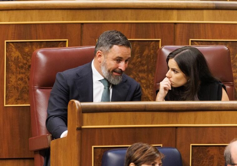 El líder de Vox, Santiago Abascal, y la nueva portavoz de Vox en el Congreso, Pepa Millán, durante la Sesión Constitutiva de la XV Legislatura en el Congreso de los Diputados