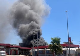 Incendio en la nave de una fábrica de frutas en Cabra