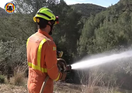 Declarado un incendio próximo a una urbanización de la localidad valenciana de Alberic