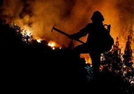Las hectáreas afectadas por el incendio de Tenerife suben a 8.400 y el viento podría «complicar» la noche