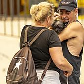 Tortugas, cobayas y conejos, 371 mascotas y 343 personas sufren el incendio en los albergues de emergencia