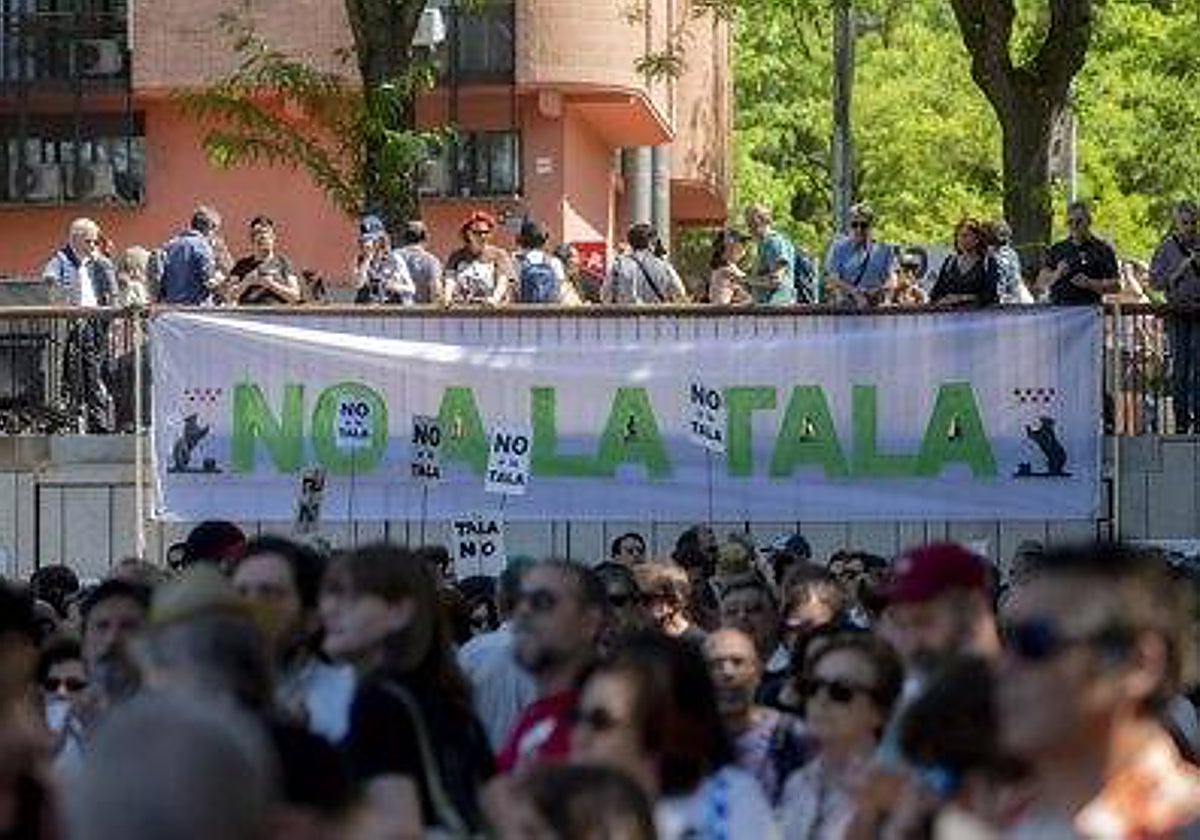 Manifestación en contra de la tala de árboles en la ínea 11 de Metro