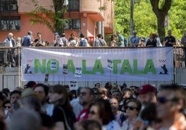 Ecologistas y FRAVM presentan alegaciones al cambio en el proyecto de la línea 11 de Metro por «insuficiente» y «no para la tala de árboles»