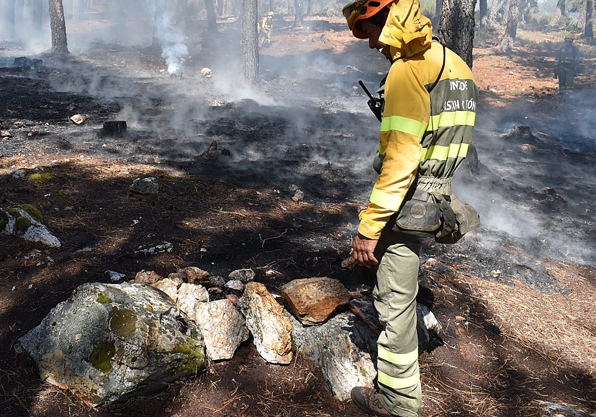 Punto de origen del fuego a menos de un kilómetro del Centro del Lobo Ibérico