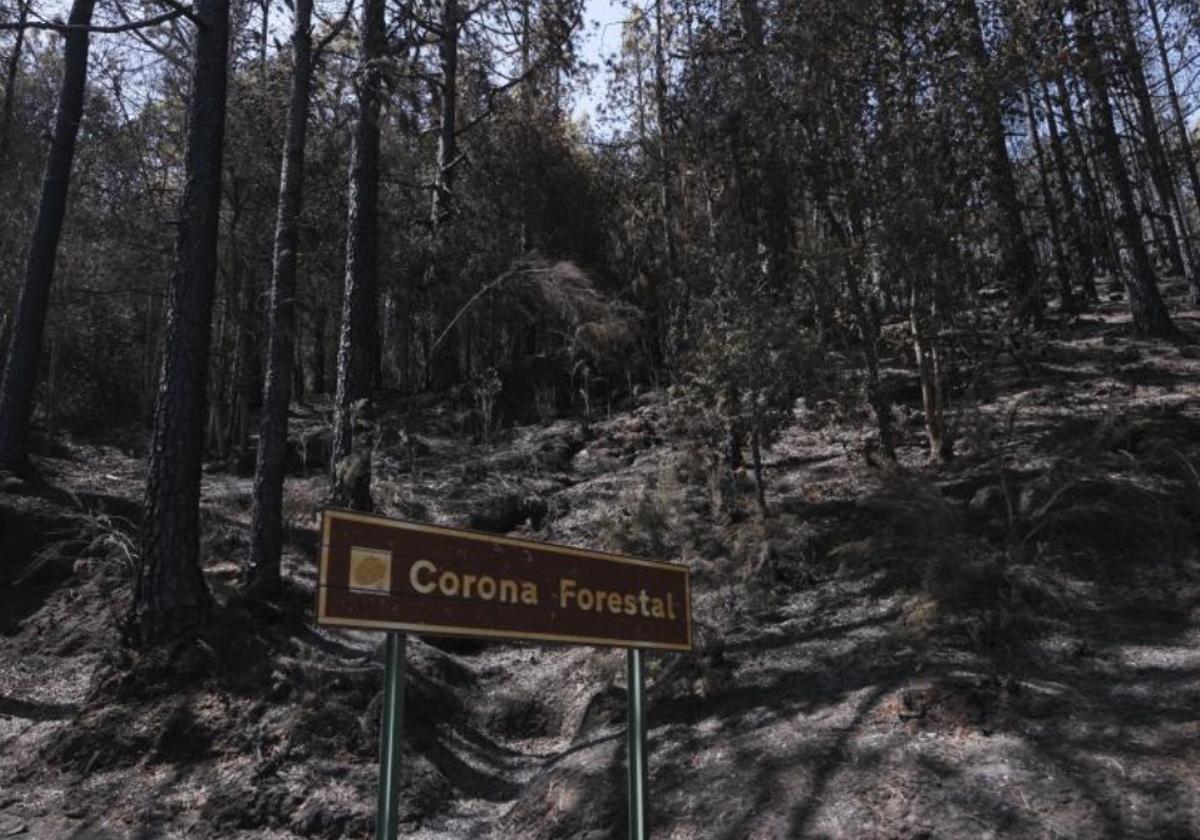 Cartel calcinado que anuncia la entrada en la Corona Forestal de Tenerife