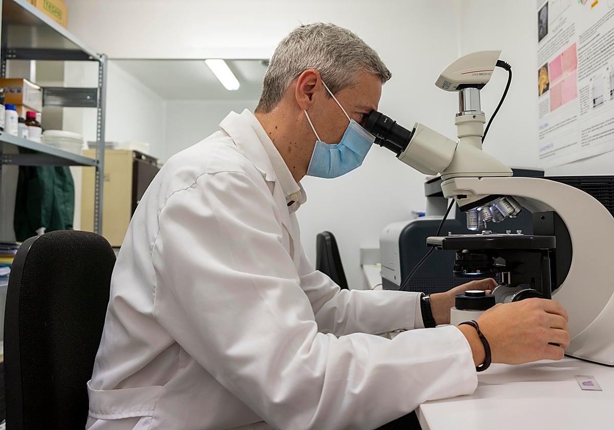 Investigador en una imagen de archivo