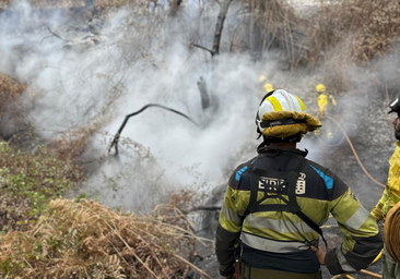 El incendio en Tenerife ha afectado a 364 fincas y 246 edificaciones