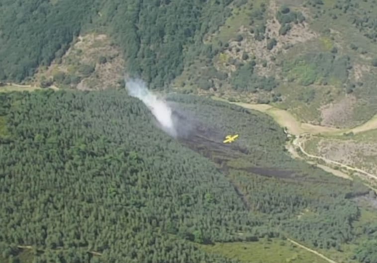 Incendio forestal en Villafrea de la Reina (León)