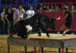 La alcaldesa popular de Valencia tumba la prohibición de los festejos taurinos que impuso en 2016 Compromís