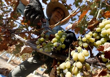 Los ministros de Agricultura de la UE inician en Córdoba su cumbre, con el malestar del sector de fondo