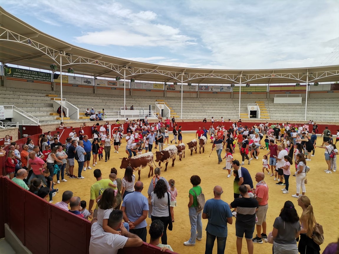Villaseca de la Sagra se lo pasa en grande