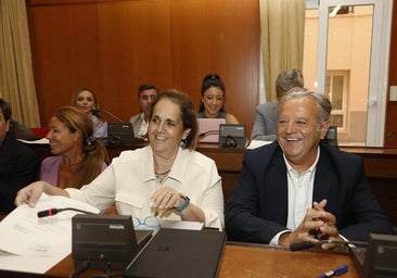 El Pleno del Ayuntamiento de Córdoba aprueba por fin el presupuesto de 2023 con la mayoría del PP y la abstención de Vox