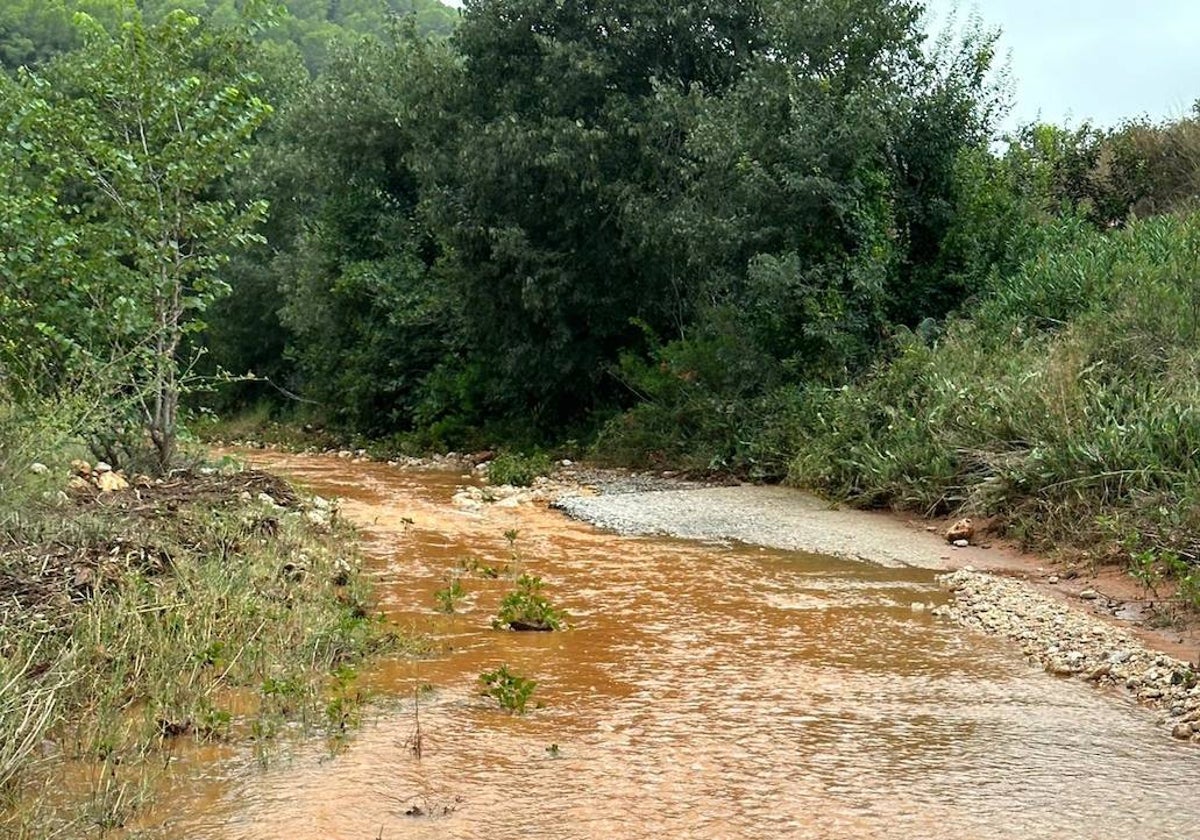 Imagen de uno de los caminos anegados por las consecuencias de la DANA