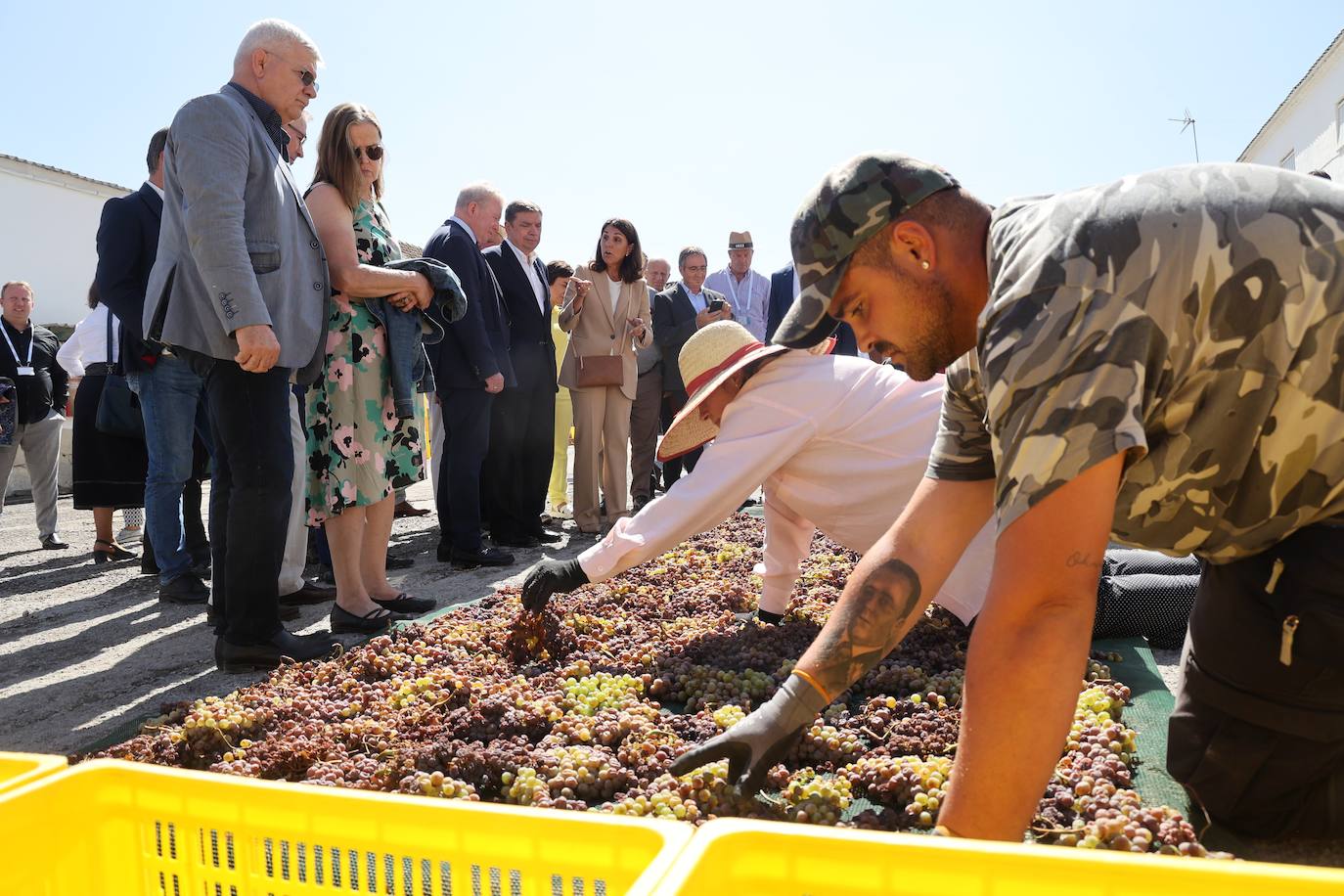 La visita de los ministros de Agricultura de la UE a Bodegas Alvear de Montilla