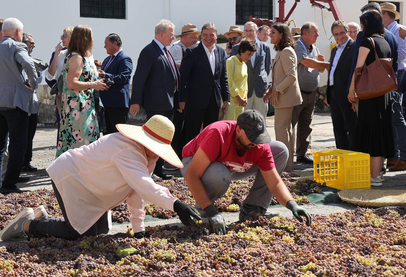 La visita de los ministros de Agricultura de la UE a Bodegas Alvear de Montilla