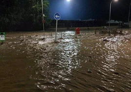 El Corredor del Henares, la zona más afectada por la DANA en Guadalajara con inundaciones y caída de árboles