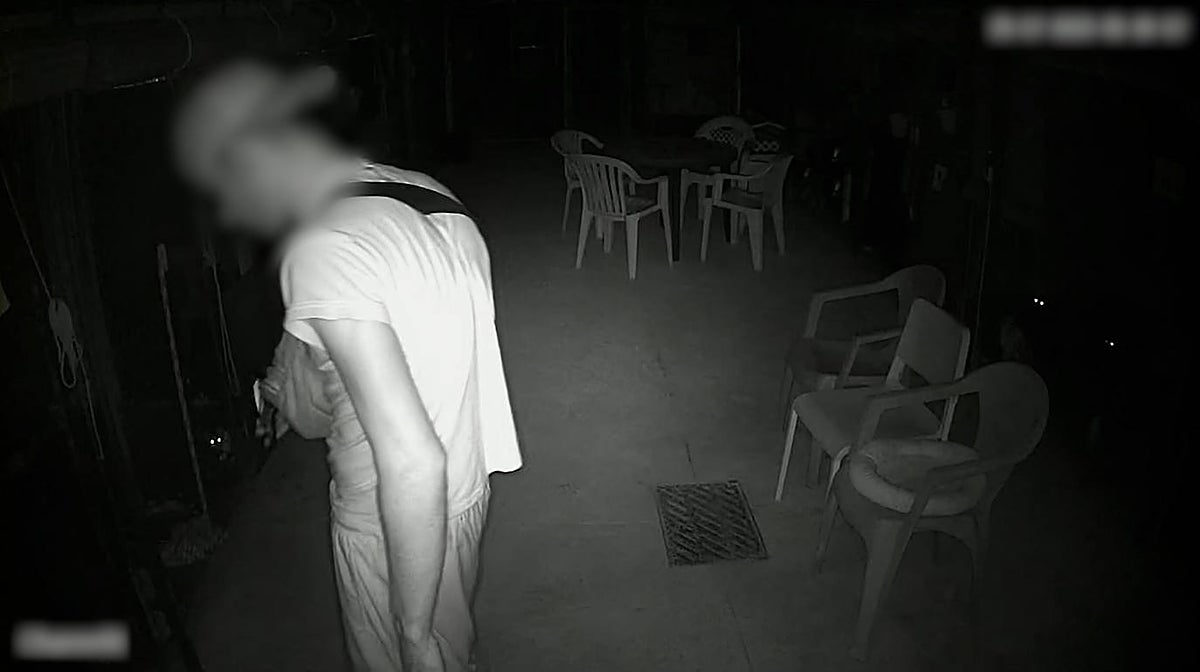 Imagen del momento en que el detenido agrede a un gato hasta su muerte en la protectora de animales