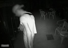 Detenido por robar y matar gatos de una protectora de animales: este es el vídeo que le delató