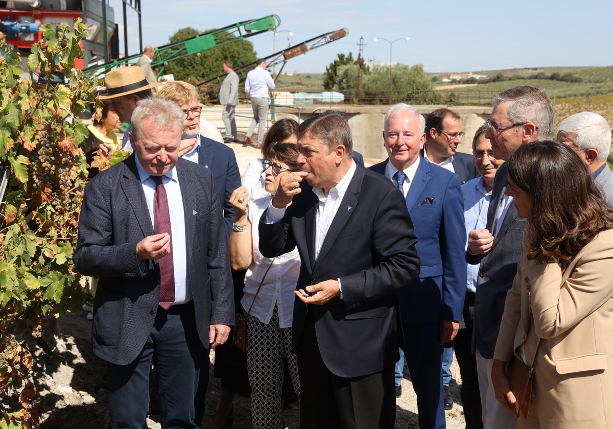 El ministro en funciones, en el Lagar Las Puentes de Alvear, en Montilla, este lunes