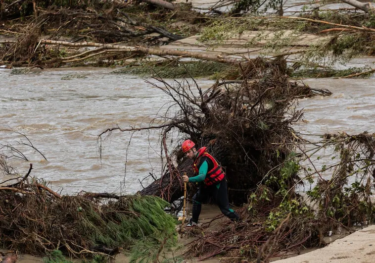 Equipos de rescate trabajan en el puente de la Pedrera, desplomado por la DANA, en Aldea del Fresno