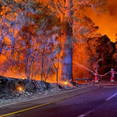 Canarias es «un polvorín» para megaincendios forestales: «Lo peor está por llegar»