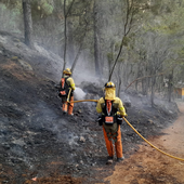 Tenerife ya es oficialmente 'zona catastrófica' tras el paso del incendio, aún activo