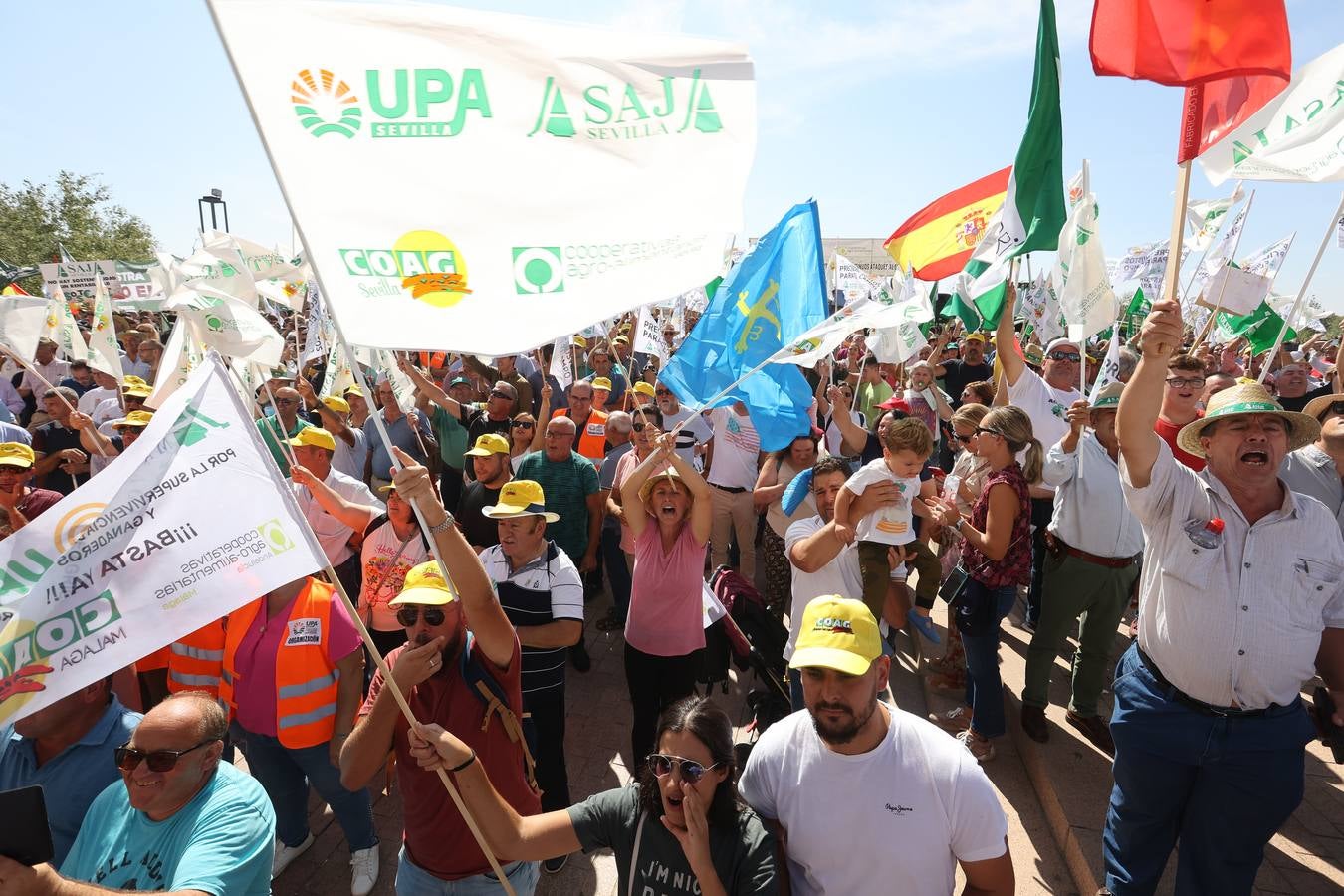 Fotos: El campo estalla en Córdoba frente a los ministros de la UE