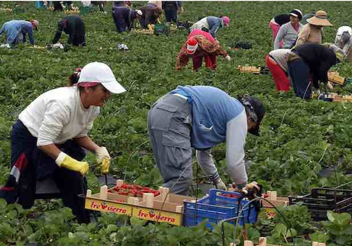 Trabajadores de la fresa